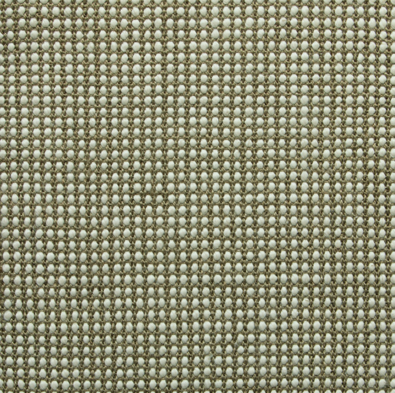 Dawn Olive