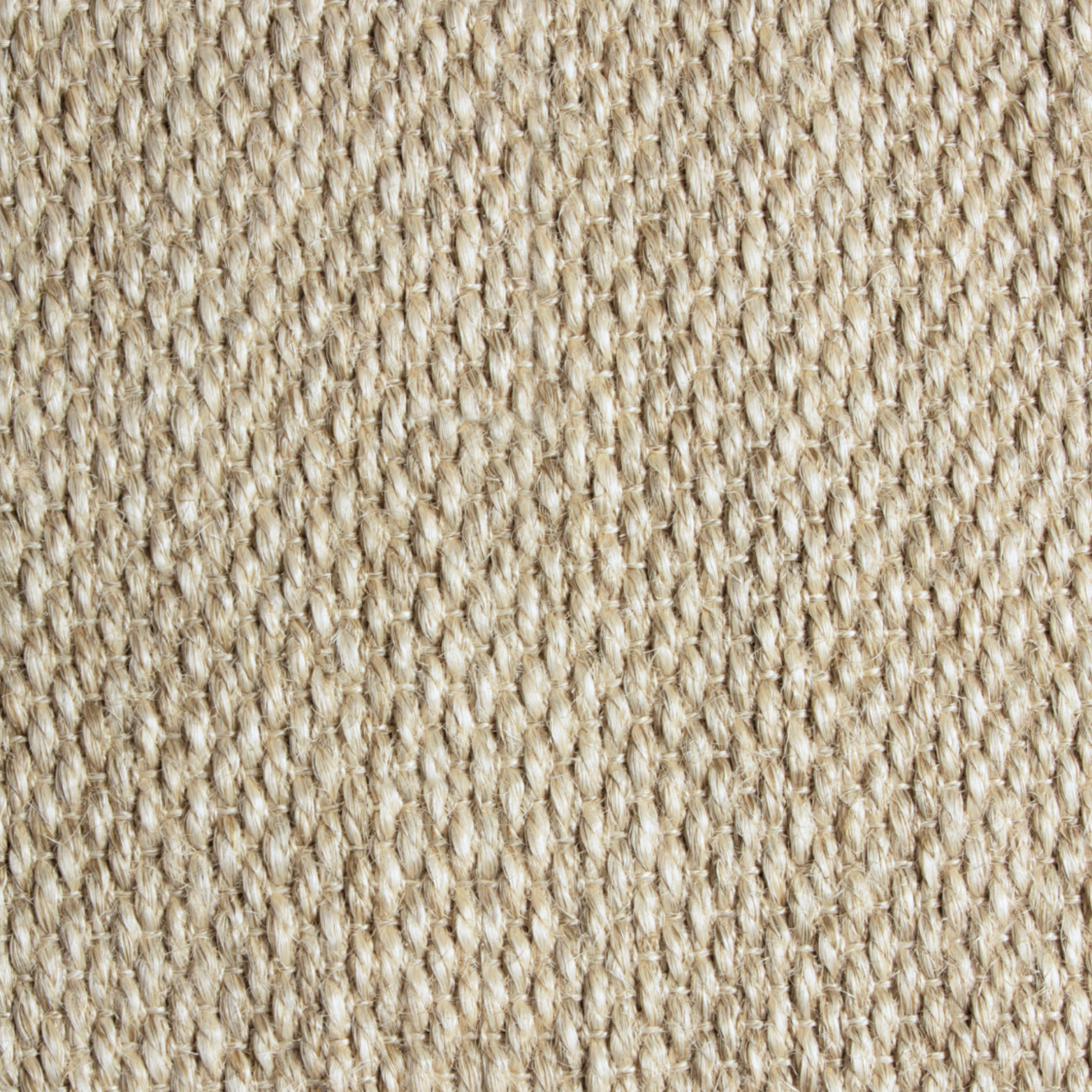 Kona Eggshell