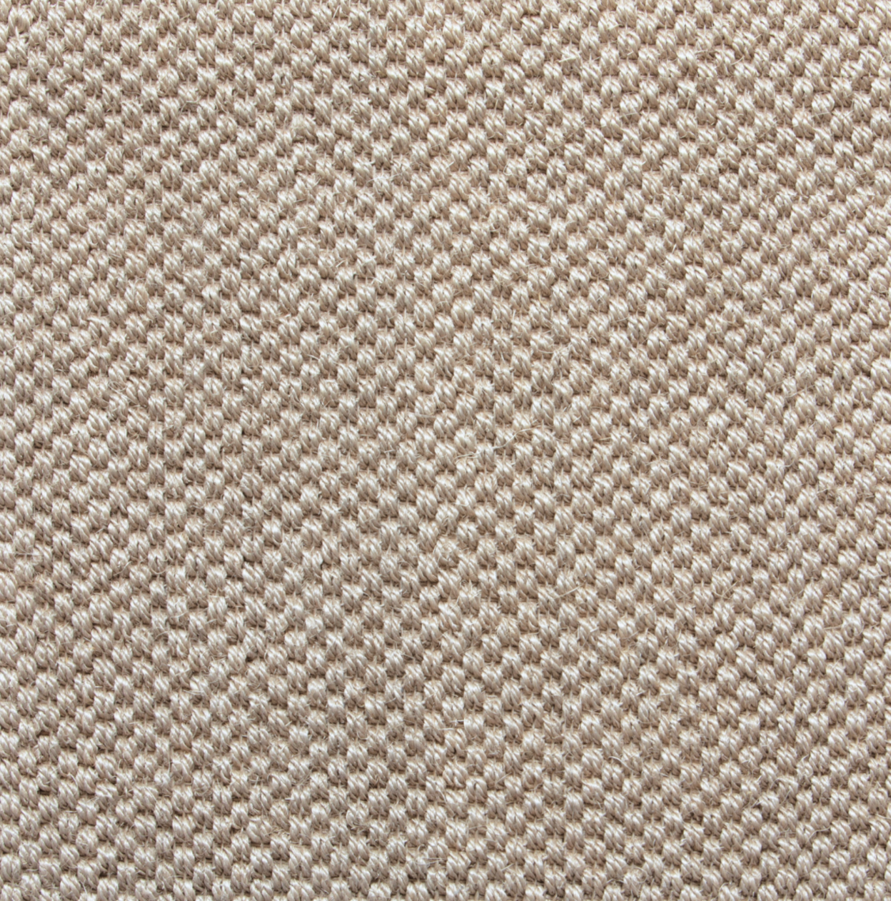 Lumi Cappuccino
