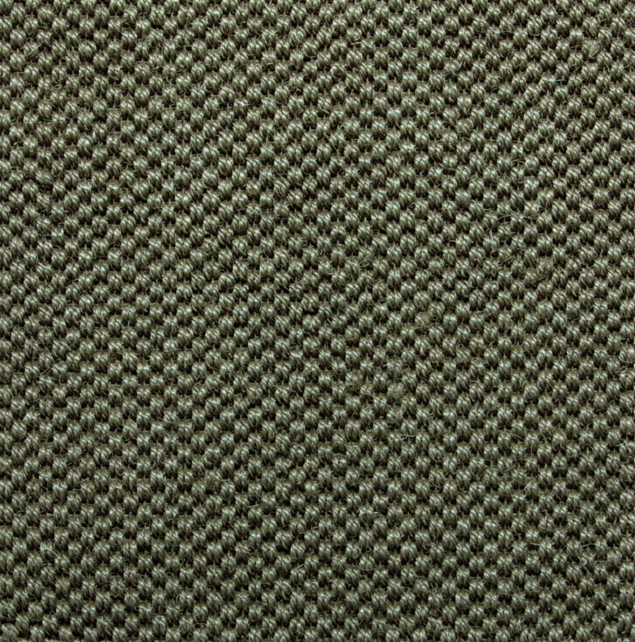 Lumi Olive