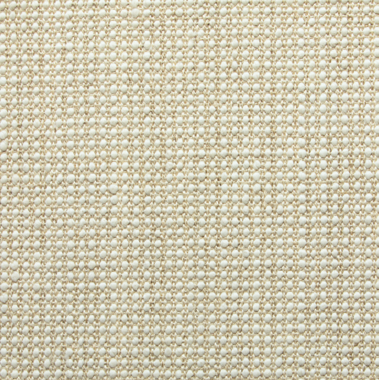 Dawn Eggshell