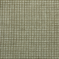 Dawn Olive
