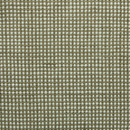 Dawn Olive