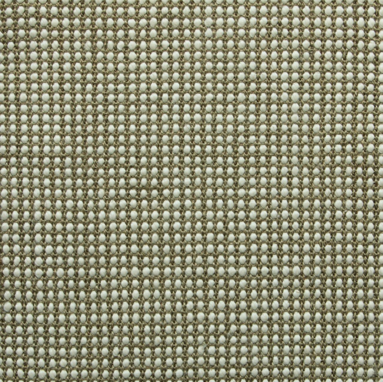 Dawn Olive
