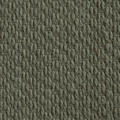 Aruba Olive