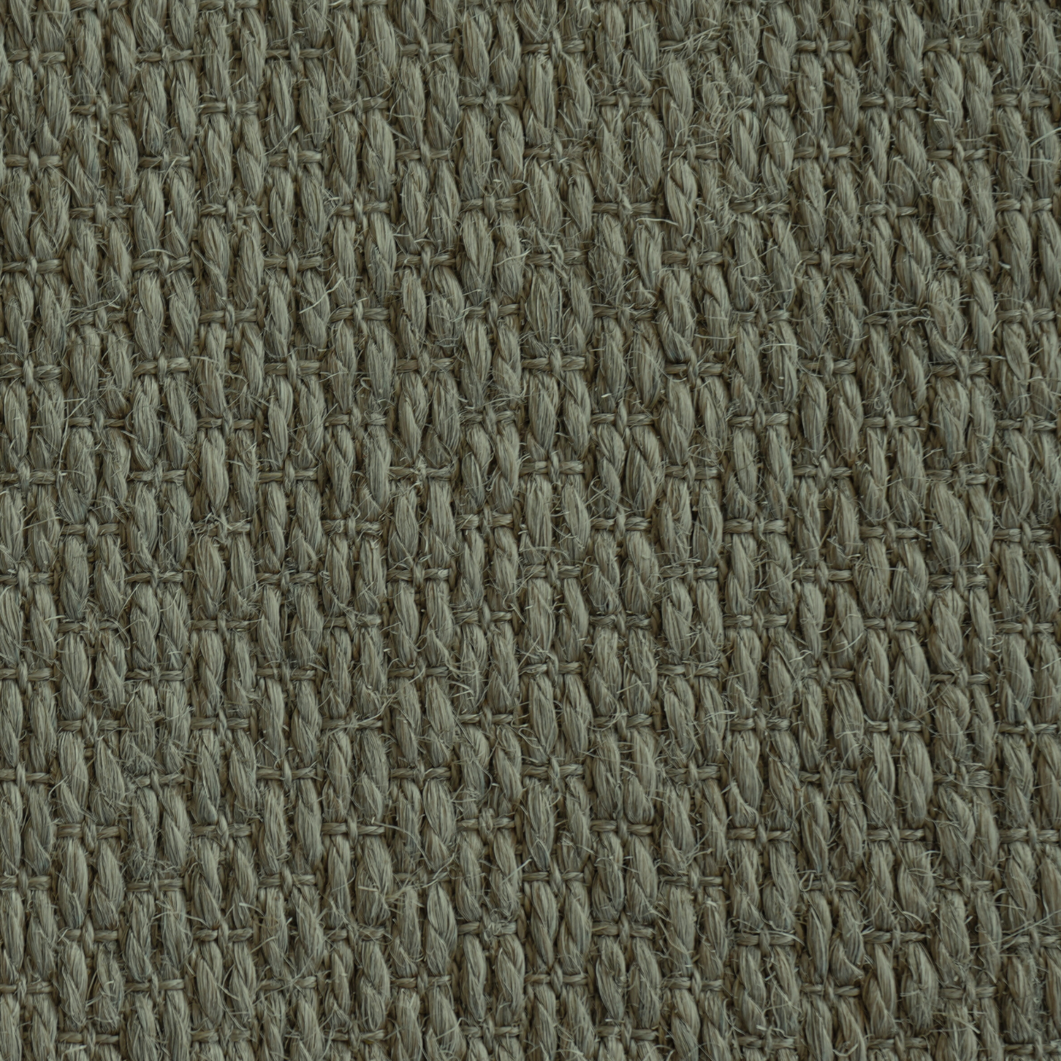 Aruba Olive